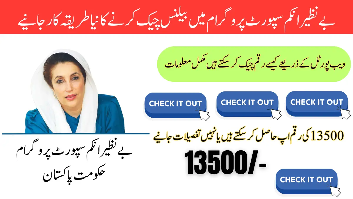 BISP 8171 Online Check Payment 13500 Online And New 2025 Method